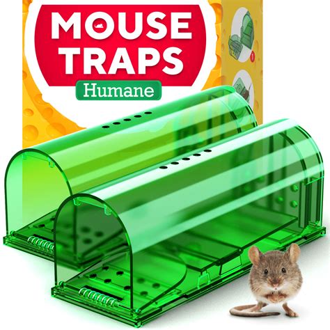 mouse traps outdoor setting